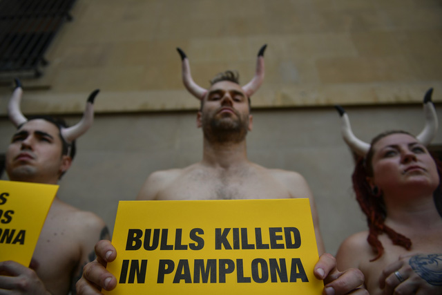 Lễ hội đua cùng bò tót San Fermin ở Tây Ban Nha Lễ hội đua cùng bò tót San Fermin ở Tây Ban Nha