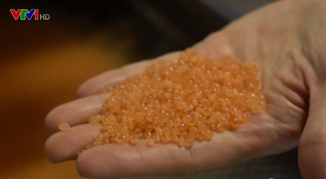 Phát triển nhựa sinh học giúp giảm ô nhiễm nhựa