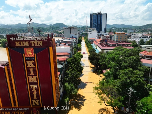 cao-bang-van-chim-nghim-trong-tran-lu-lich-su