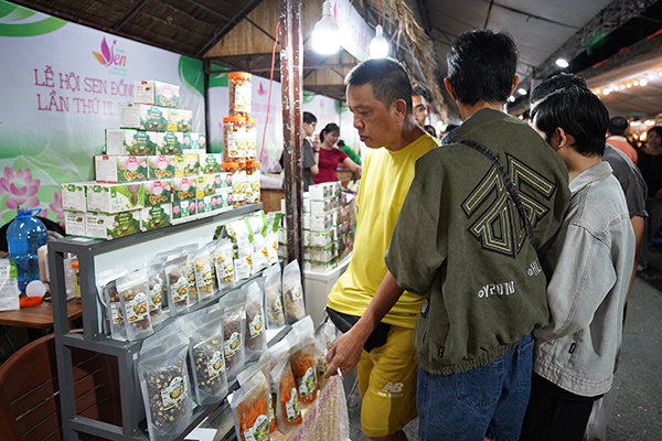 ruc-ro-dem-khai-mac-le-hoi-sen-dong-thap-2026-lan-toa-cau-chuyen-dat-sen-hong