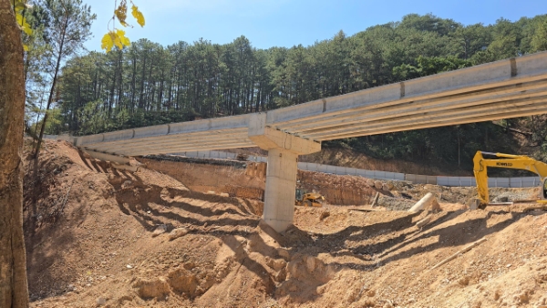 cau-can-deo-mimosa-o-cua-ngo-da-lat-thi-cong-than-toc-sau-sat-lo