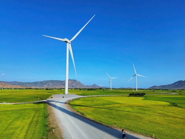 ve-dep-cua-cay-co-don-giua-canh-dong-dien-gio-dam-nai