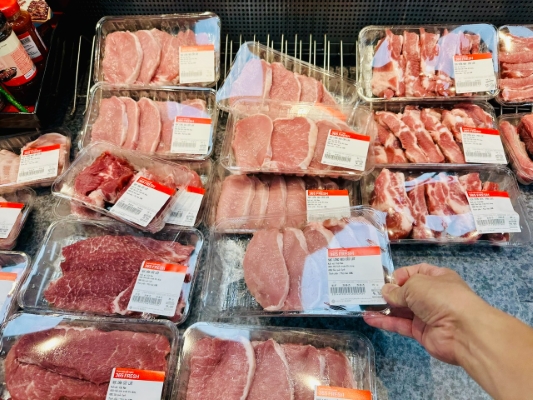 gia-heo-hoi-hom-nay-14102025-heo-hoi-va-heo-giong-cung-giam