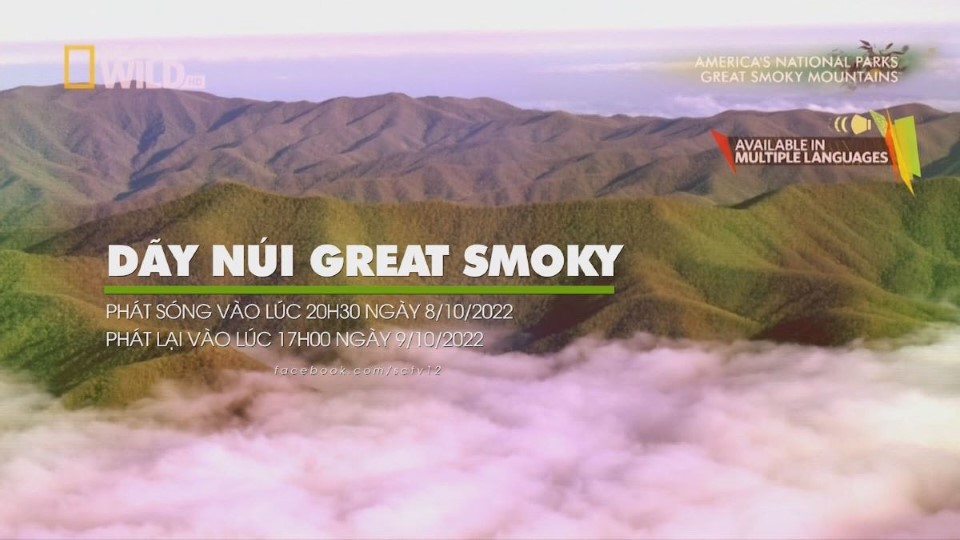 day-nui-great-smoky