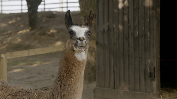 mua-thu-tai-trang-trai-cua-jimmy