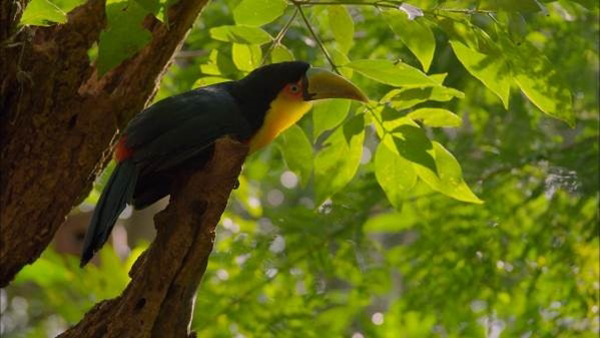 thac-iguazu