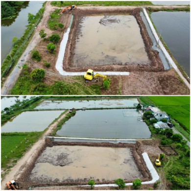 Chủ tịch UBND huyện Tiền Hải chỉ đạo làm rõ vụ hàng vạn m³ đất bị “lạc trôi”