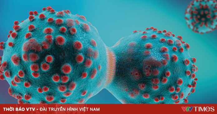 Australia phát hiện “công tắc” giúp tế bào ung thư né tránh hệ miễn dịch