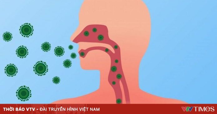Bộ Y tế: Tăng cường phòng, chống cúm mùa, virus hợp bào hô hấp và tay chân miệng