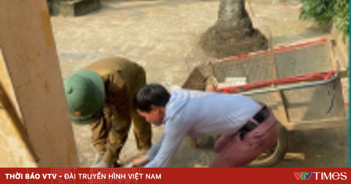 Hà Nội ghi nhận 2 ổ dịch dại trên chó