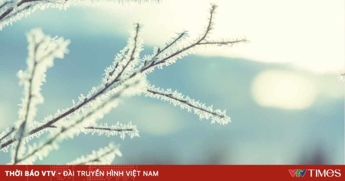 Rét đậm rét hại: Những nhóm đối tượng cần được bảo vệ khẩn cấp Rét đậm rét hại: Những nhóm đối tượng cần được bảo vệ khẩn cấp